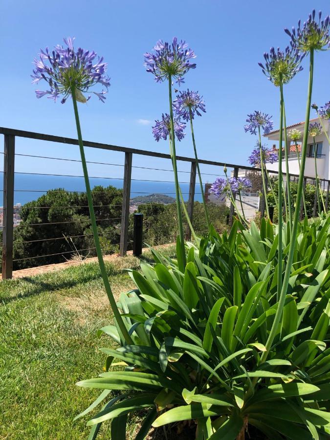 Villa Oasis Costa Brava Lloret de Mar Dış mekan fotoğraf